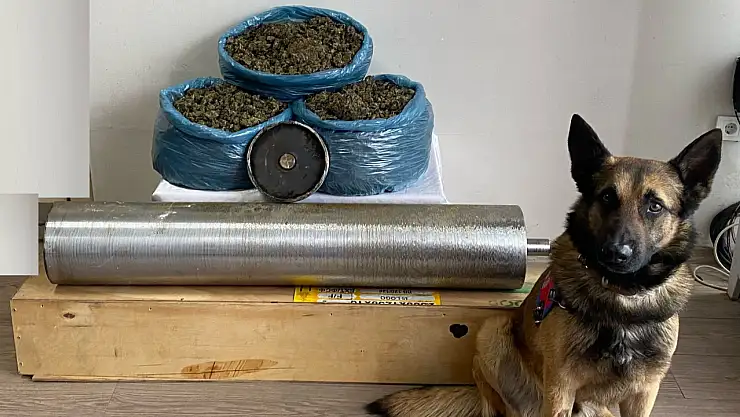 Bolu'da durdurulan yolcu otobüsünden 15 kilo uyuşturucu çıktı