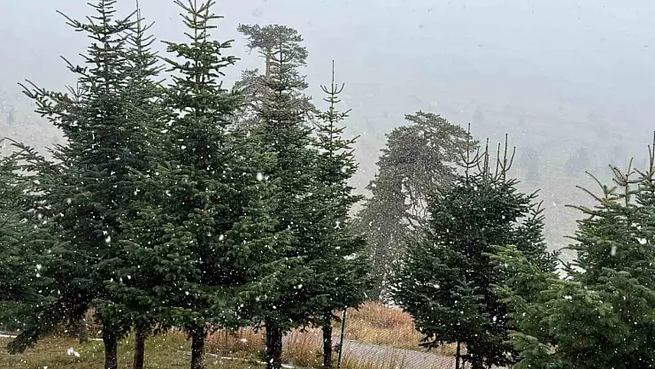 Bolu'da mevsimin ilk karı yağdı