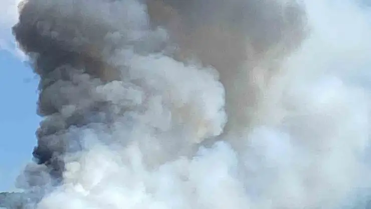 Bolu'da orman yangını