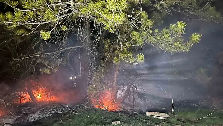 Bolu'da ormanlık alanda yangın