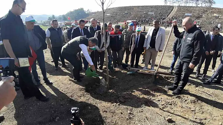 Bolu'da yanan orman yeniden yeşeriyor