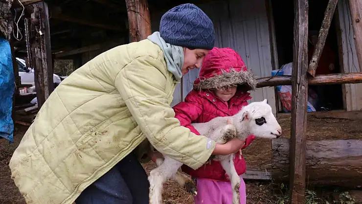 Bolu'da yaylalardan köylere göç başladı