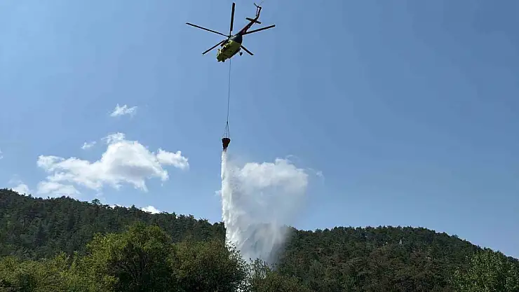 Bolu'daki orman yangını kısa sürede kontrol altına alındı