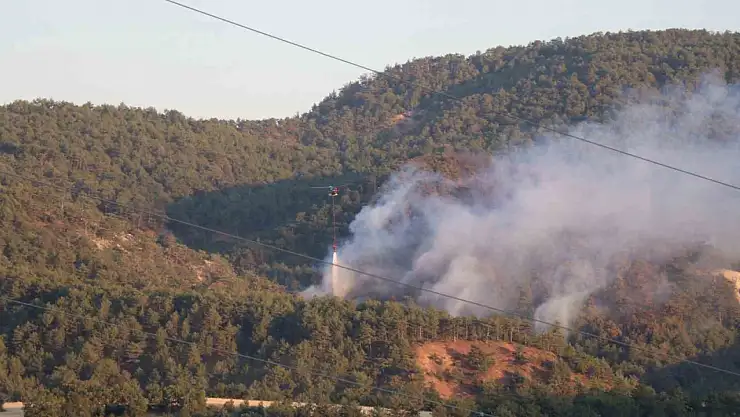 Bolu'daki orman yangınına havadan ve karadan müdahale sürüyor