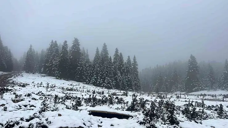 Bolu'nun yüksekleri beyaz örtüyle kaplandı