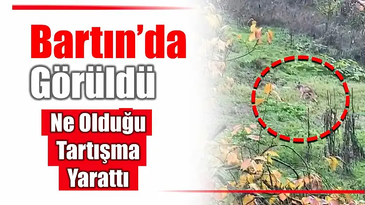 Bu görüntülere yorum yağdı