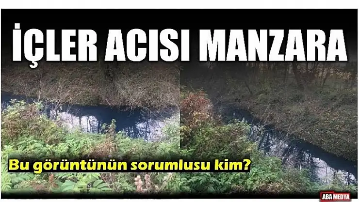 BU KİRLİLİĞİN SORUMLUSU KİM?