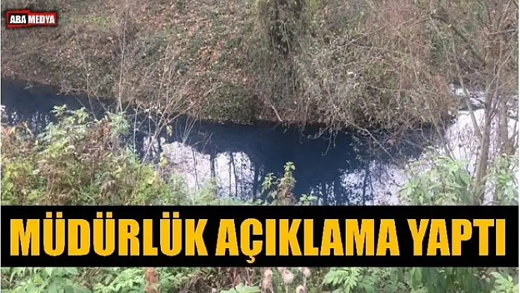 BU MANZARANIN SORUMLUSU BULUNAMADI!