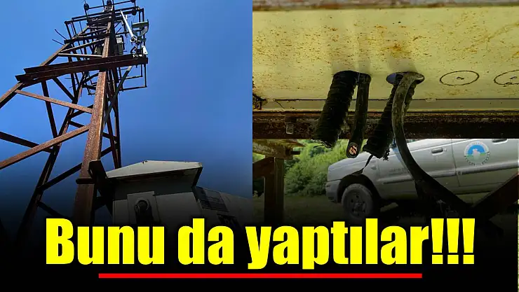 Bunu da yaptılar