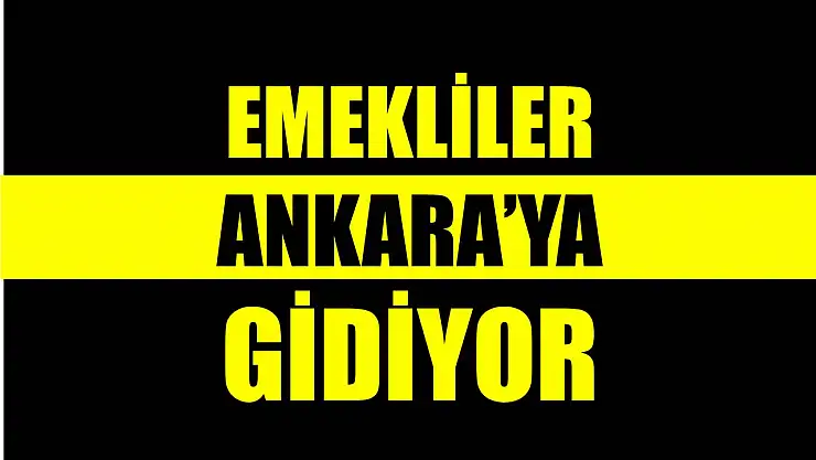 Büyük emekli mitingi düzenlenecek