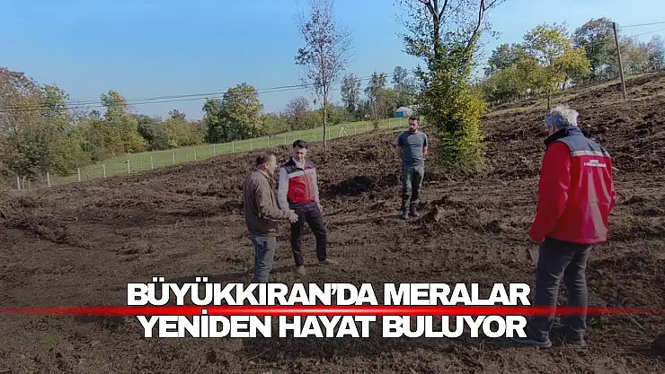 Büyükkıran'da Meralar Yeniden Hayat Buluyor