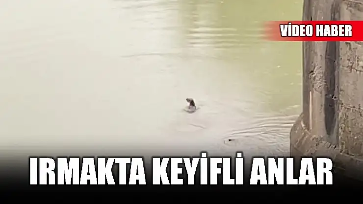 O anlar kamerada