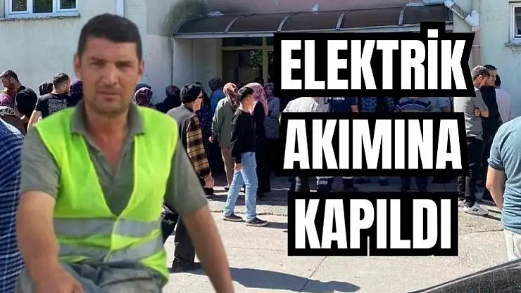 Feci ölüm