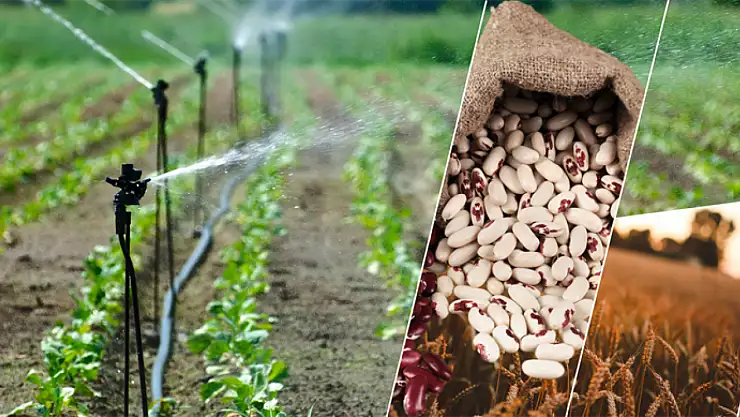 Çiftçi destek ödemeleri hesaplara aktarıldı