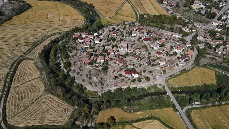 Coğrafi işaretli Tosya pirincinde susuzluk sebebiyle istenilen rekolteye ulaşılamadı