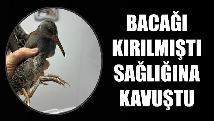 Çulluk'tan güzel haber var