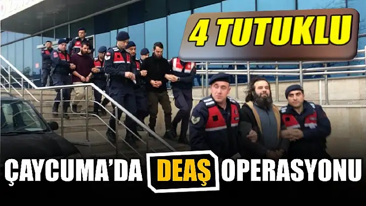 DEAŞ'a finansman sağlayan 4 zanlı tutuklandı