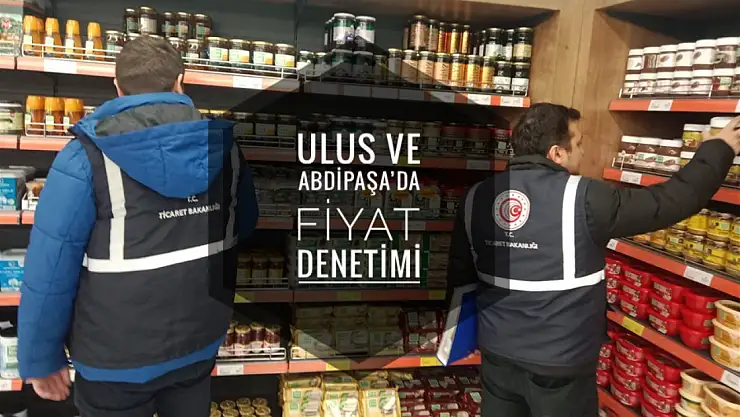 Denetimler ilçe ve beldelerde devam ediyor