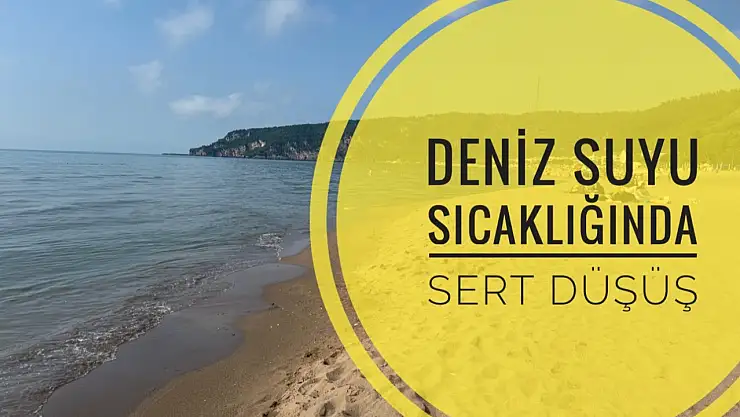 Deniz suyu buz kesti