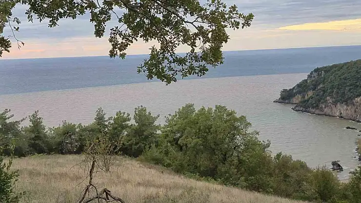 Denizin rengi değişti, plaja tıbbi atıklar vurdu