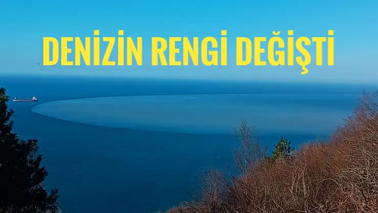 Denizin rengi değişti