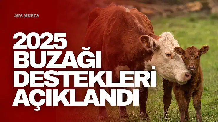 Destek Miktarları Rekor Seviyeye Ulaştı