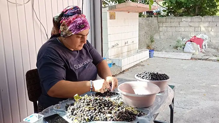 Devrek'te üretilen aronya meyve suyu büyük ilgi görüyor