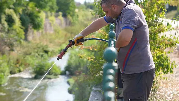 Düzce Belediyesi otluk ve sulak alanlarda ilaçlama çalışmaları yapıyor