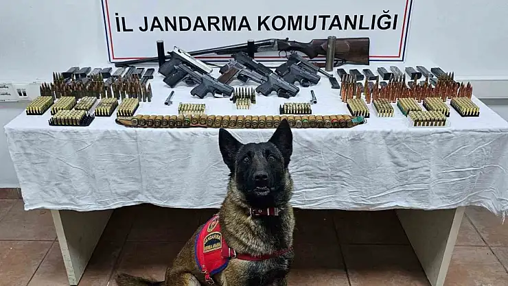 Düzce'de çok sayıda silah ve mühimmat ele geçirildi