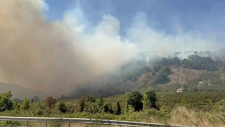 Düzce'de orman yangını 5. saatinde