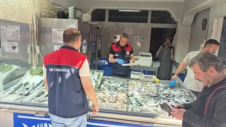 Düzce'de su ürünleri denetimi: Yasal boy altındaki 11 kasa balığa el konuldu