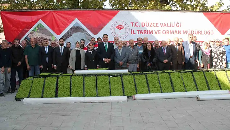 Düzce'de yüzde 75 destekli 232 bin 500 adet marul fidesi dağıtıldı