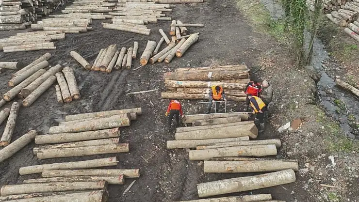 Düzce'den 9 bin 967,5 ton orman ürünü ihraç edildi