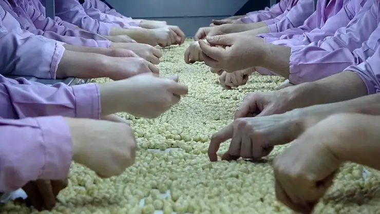 Düzce'den AB ülkelerine 2 bin 416 ton fındık ihraç edildi
