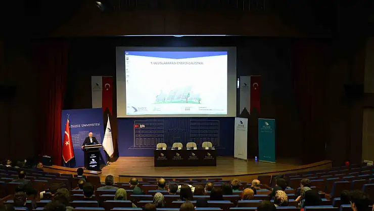 Düzce Üniversitesi'nde enerji çalıştayı