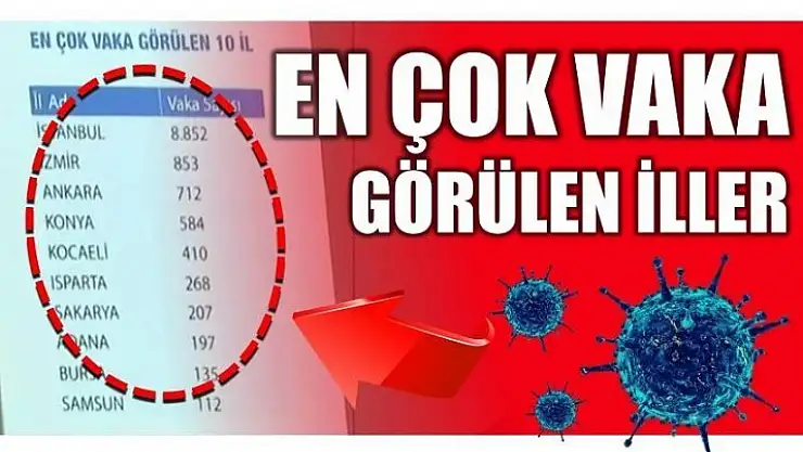 EN ÇOK VAKA GÖRÜLEN İLLER