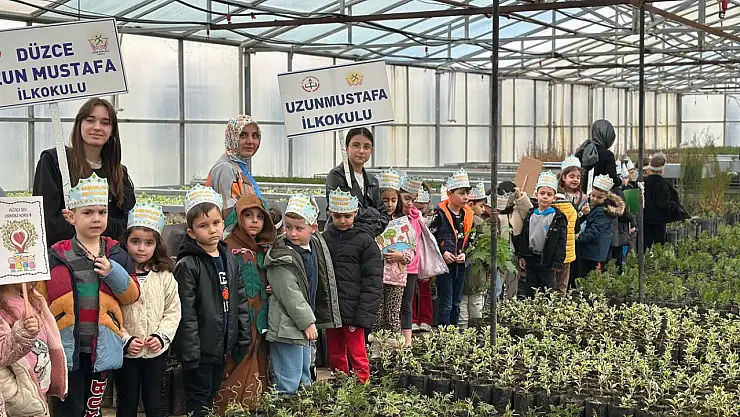 Enerji dostu mavi yeşil okul