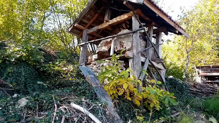 Bahçeye girdi 40 kovan arıya zarar verdi