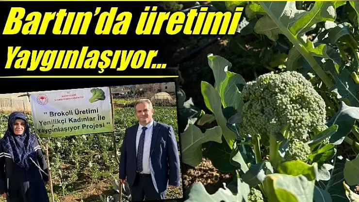 Faydaları saymakla bitmiyor...