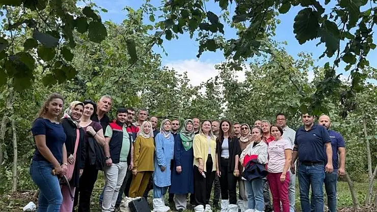 Fındıkta verim ve kalite arttırılacak