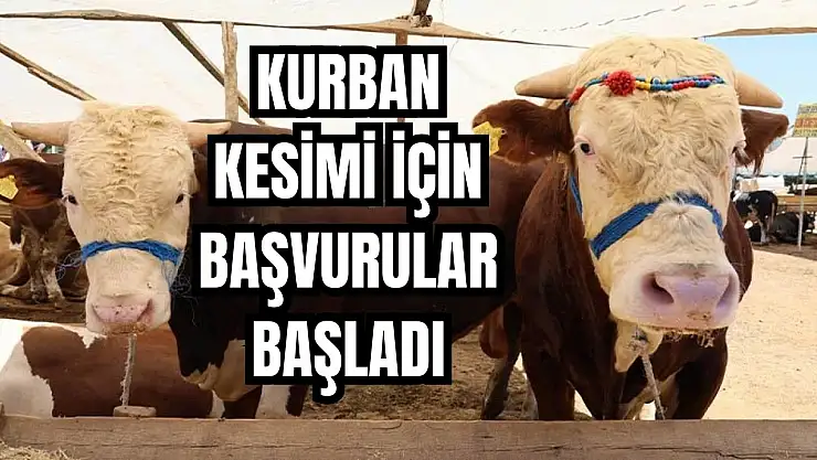 Fiyatlar belli oldu