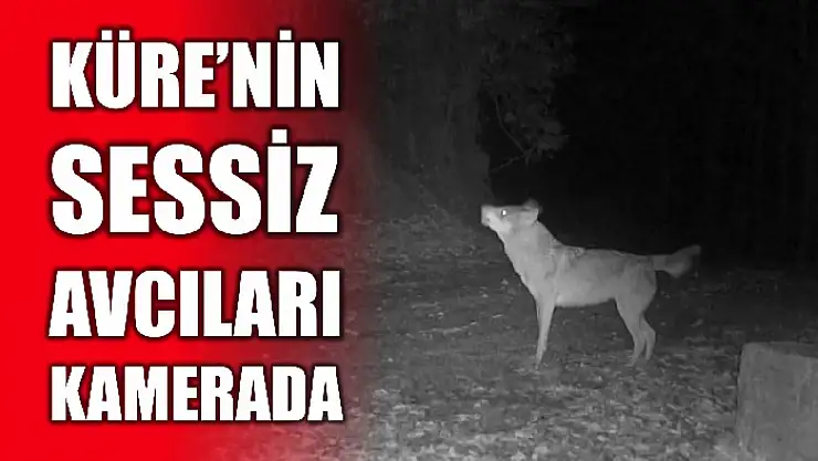 Fotokapana takıldılar