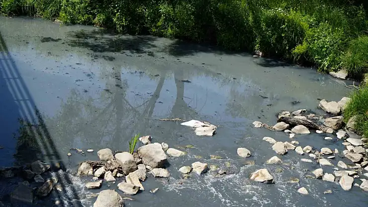 Gerede'de fabrikaların zehrini kustuğu derenin yeniden davası görülecek