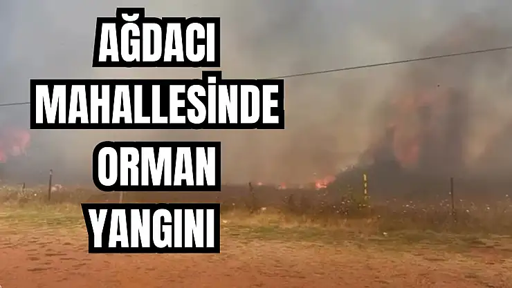 Giderek büyüyor