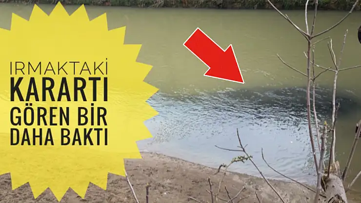 Gören bir daha baktı