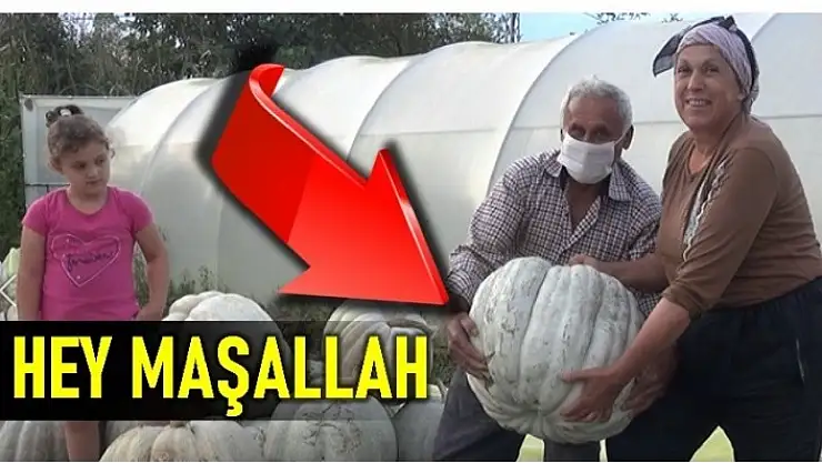 GÖRENLER HEY MAŞALLLAH DİYOR