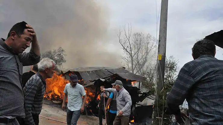 Gözü gibi baktığı oğlağı öldü sandı