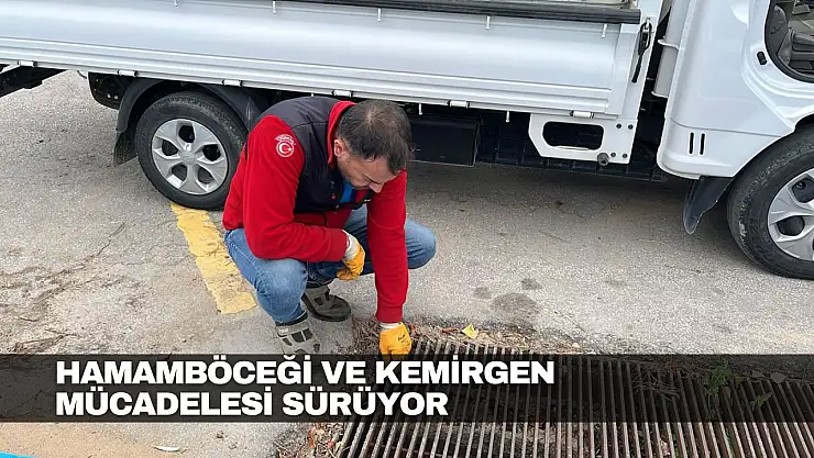 Hamamböceği ve Kemirgen Mücadelesi Sürüyor