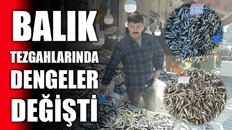 Hamsi listesinin gerisinde kaldı