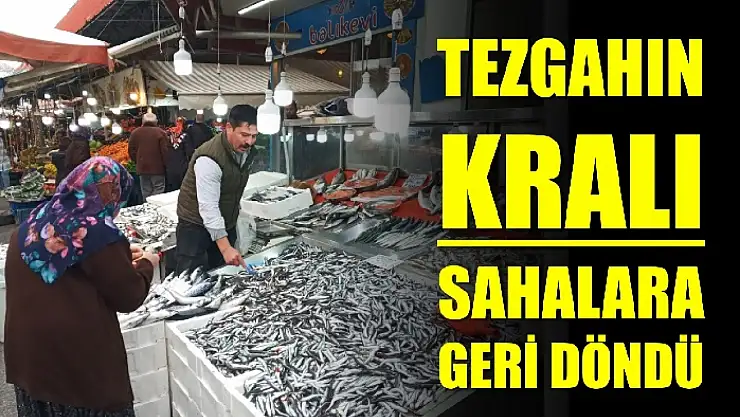 Hamsi yeniden tezgahlarda